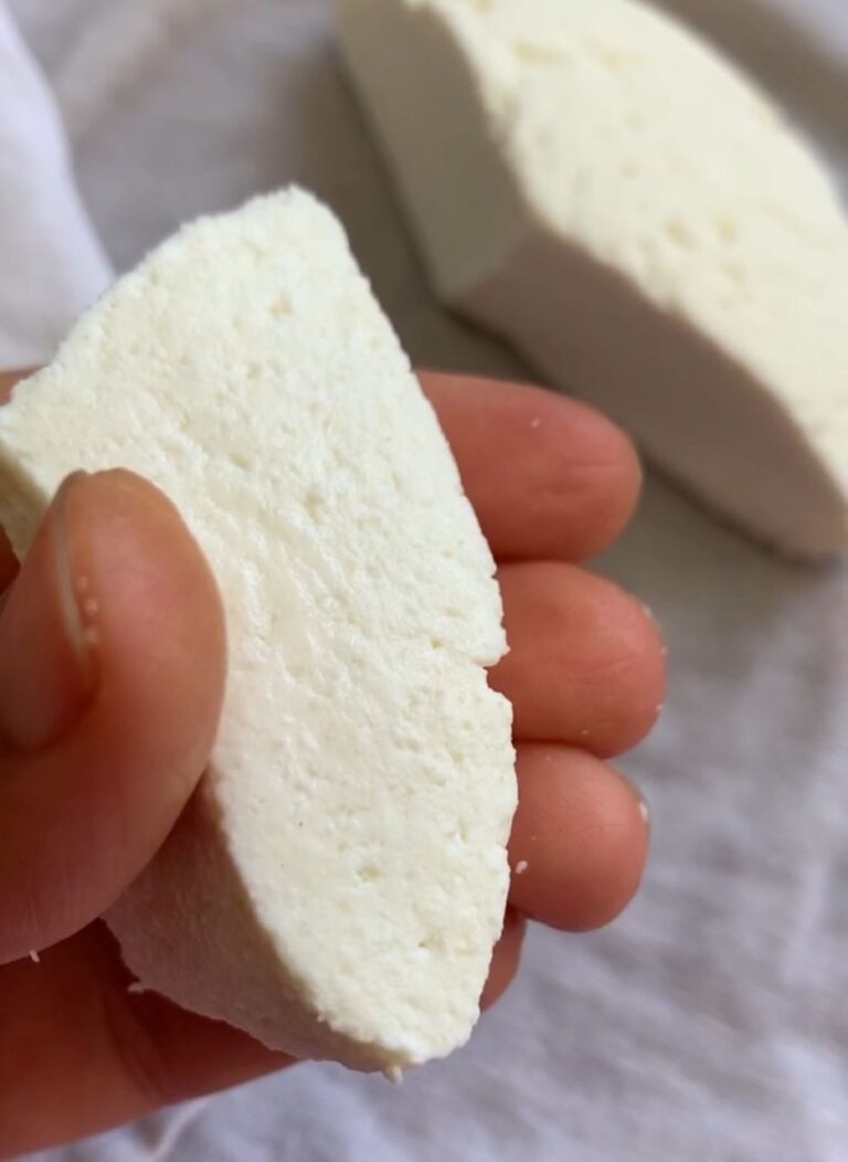 Softest Homemade Paneer Recipe